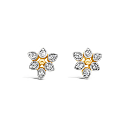 Zircon Studs